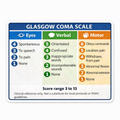 Ambulance Vinyl Sticker - GCS quick reference