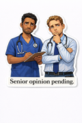 NURSE & ED Humour Vinyl Sticker - Senior opinion!